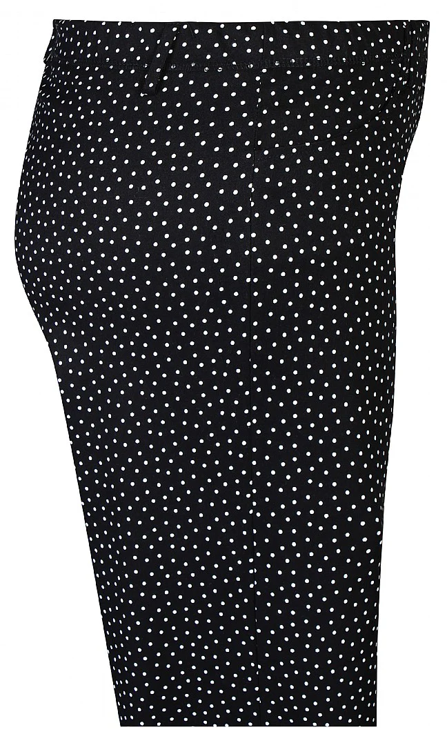 ZhJazzy 66 Pants - Image 5