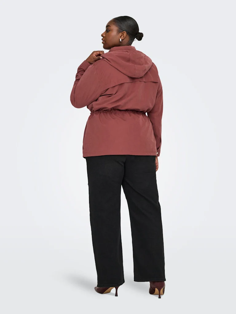 CarNewStarLine - Spring Jacket - Image 7