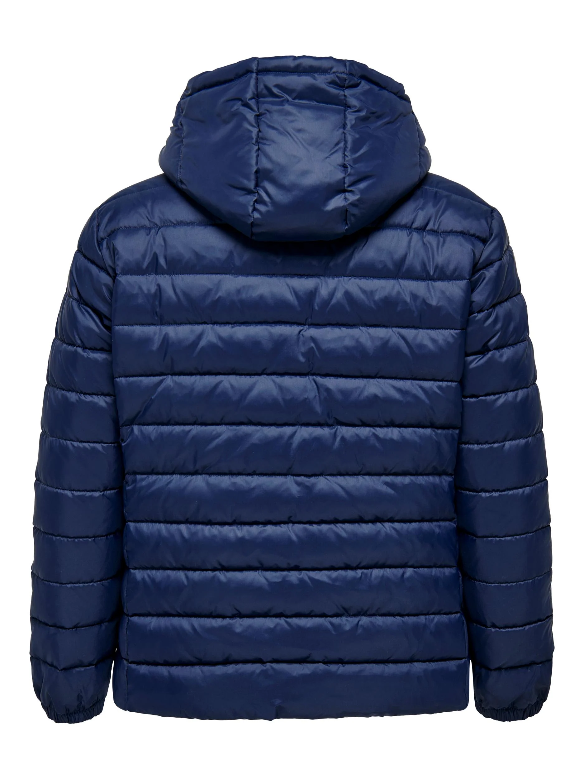 CarTahoe Hood Jacket - Image 12