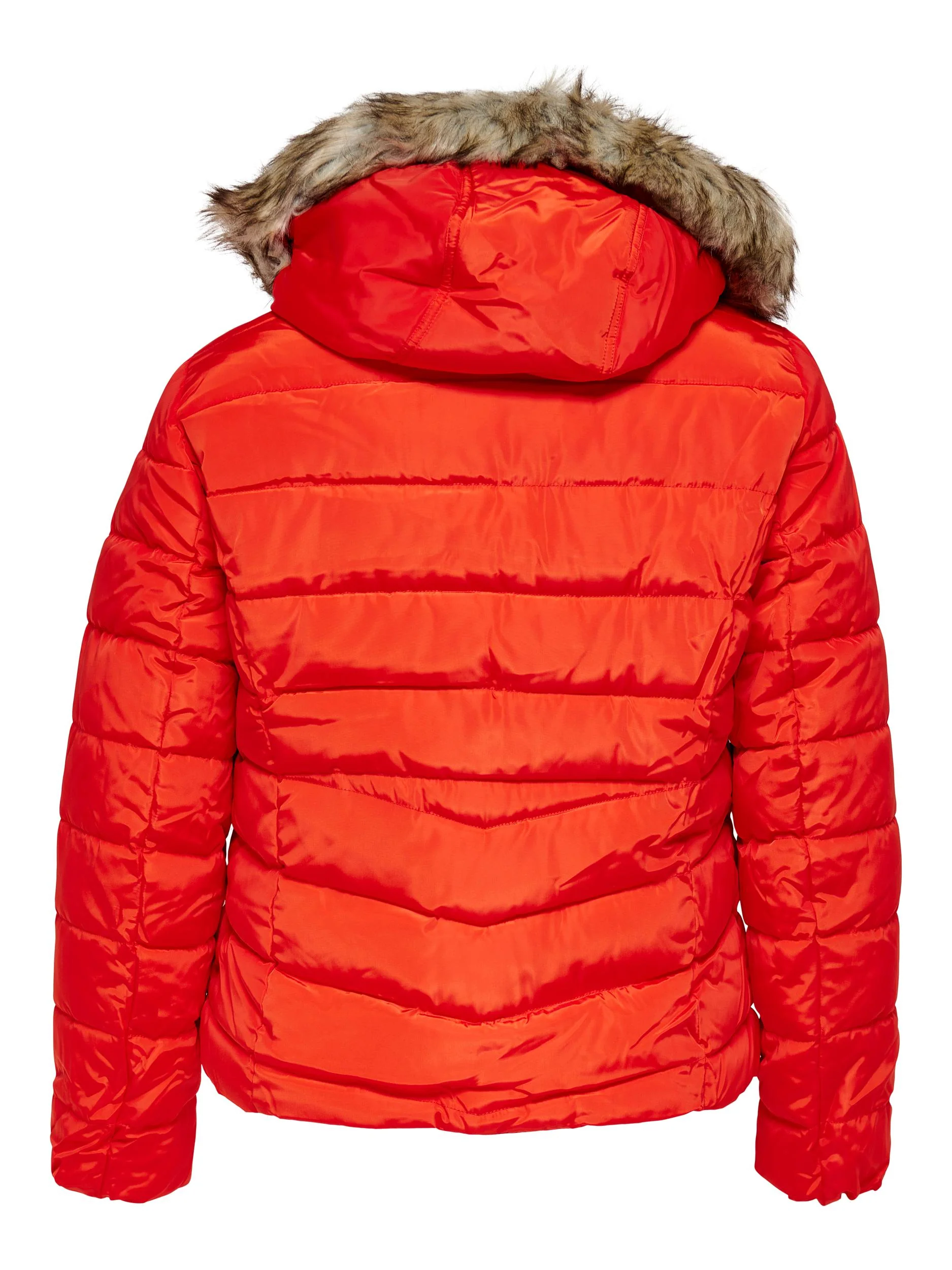 CarNewellan Quilted Hood Jacket - Image 10