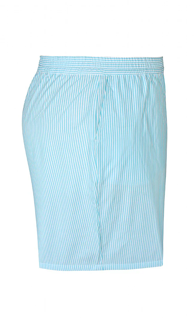 ZHSandra 426 - shorts - Image 7